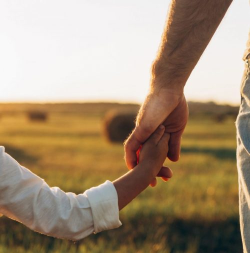 Father's and his son holding hands at sunset field. Dad leading son over summer nature outdoor. Family, trust, protecting, care, parenting concept